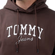 Tommy Jeans Boucle Logo Relaxed Hoodie