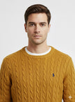 Ralph Lauren Pullover