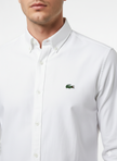 Lacoste Shirt