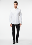 Lacoste Shirt
